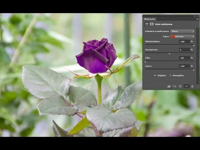 Jak zmienić kolor zdjęcia w Photoshopie - proste metody krok po kroku Jak zmienić kolor zdjęcia w Photoshopie - proste metody krok po kroku