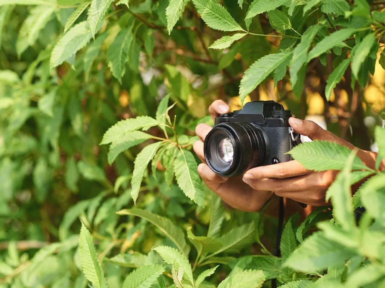 Jak wybrać najlepszą jasność obiektywu dla Twojej fotografii? Jak wybrać najlepszą jasność obiektywu dla Twojej fotografii?